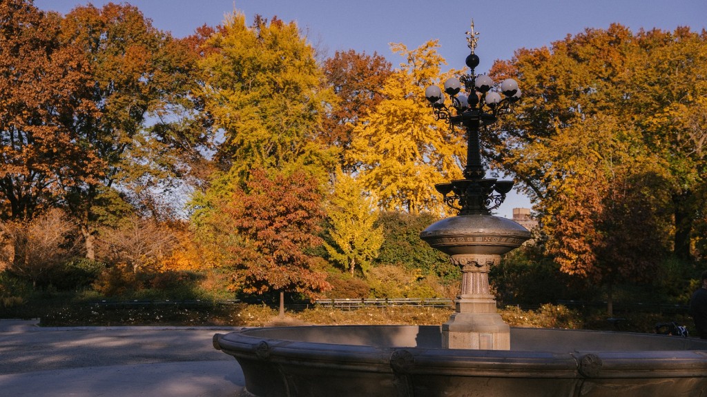 How To Visit Central Park In An Hour