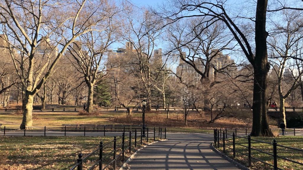 Did Central Park Jogger Die