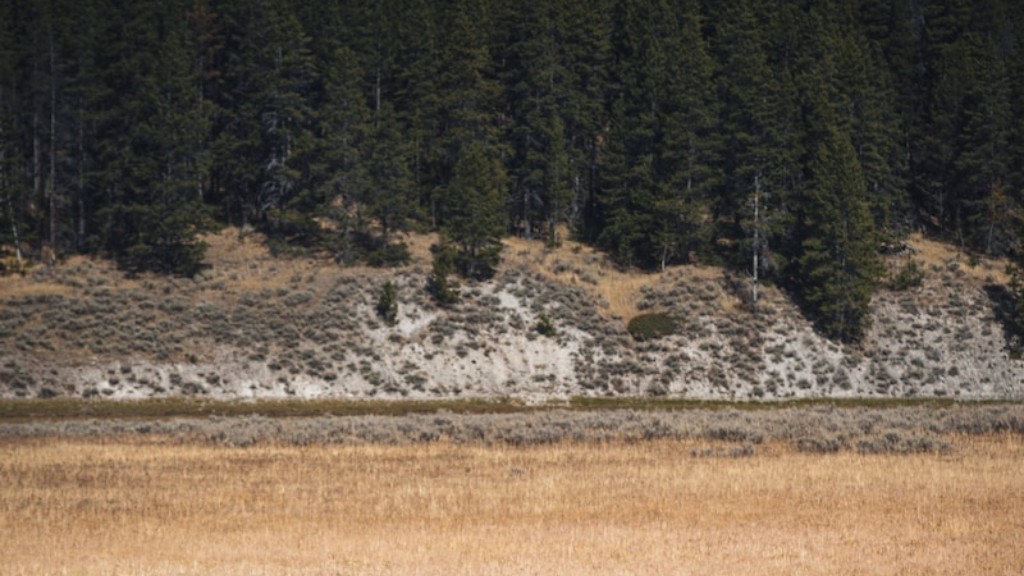 How Did Wolves Affect The Ecosystem In Yellowstone Park