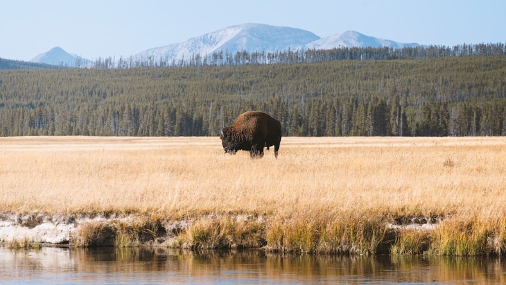 Is There A Hotel In Yellowstone Park